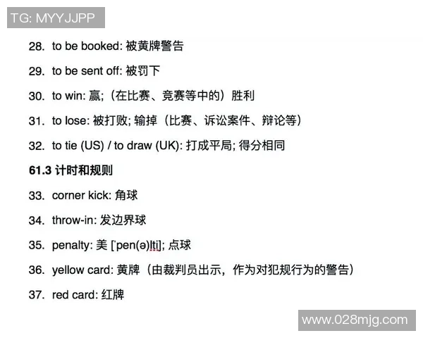 足球语言的魅力探索与创新词汇的无限可能性分析